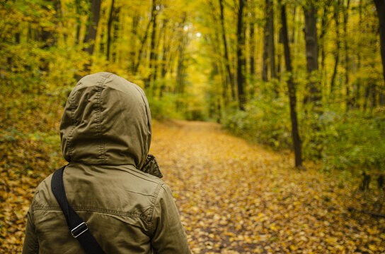 a hooded green figure standing in an autumn forest - Powered by Adobe
