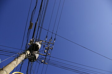 見上げる電信柱