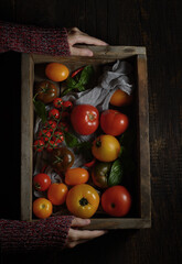 Colored tomatoes in a wooden box. Harvesting. Top view. Rustic style
