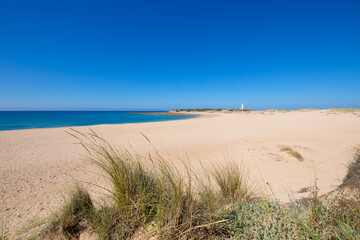 Fototapeta na wymiar wild Varadero Beach and Trafalgar Cape in Cadiz
