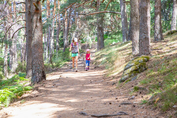 woman and little girl with trekking sticks walking on a footpath in forest near to Madrid