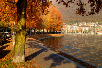 Tree-lined lakeside promenade in autumn in Omegna on Lake Orta