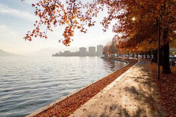 Tree-lined lakeside promenade in autumn in Omegna on Lake Orta