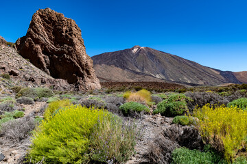 Teide Nationalpark.