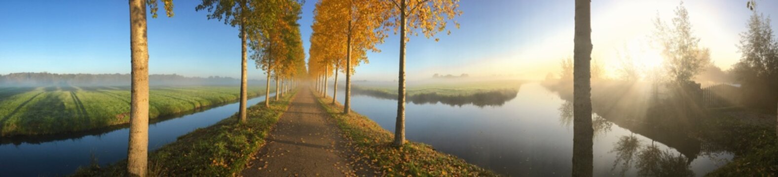 Panorama autumn road, colorful leaves and sun