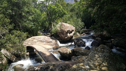 Bridge over a river at Royal Natal National Park
