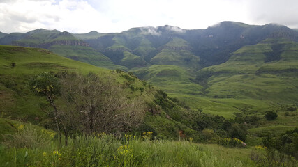 Scenery at Natal Drakensberg National Park