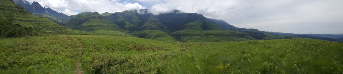 Fototapeta na wymiar Panorama from Hiking path at Natal Drakensberg National Park in South Africa in South Africa