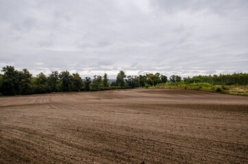Fototapeta na wymiar a plowed autumn field by day