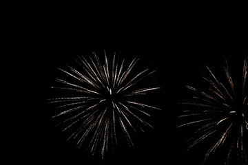 Celebration firework in the black night sky