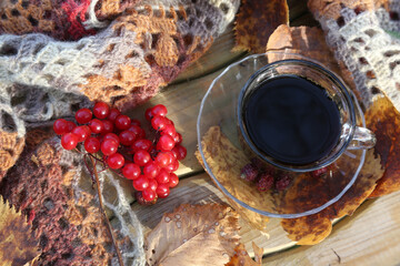 Autumn still life with a cup of coffee and a warm knitted scarf