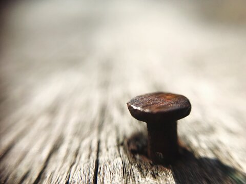 Close-up Of Rusty Nail On Wood