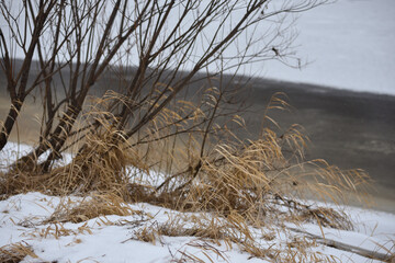 Obraz premium Field in the late autumn