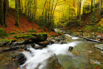 Waterfall in the autumn beech forest.