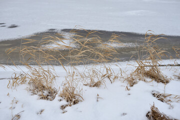 Field in the late autumn