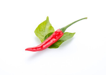 Red chili pepper with leaves on white background