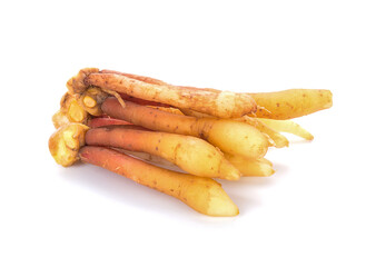 finger root (Krachai) Thai herb on white background