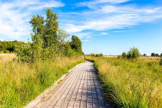 Ewiges Meer near Aurich