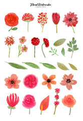 Flower Watercolor Collection