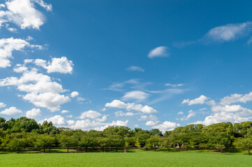 草原と青空と雲