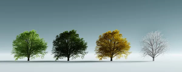 Fotobehang Bomen in vier seizoenen van het jaar - lente, zomer, herfst en winter. © Photocreo Bednarek