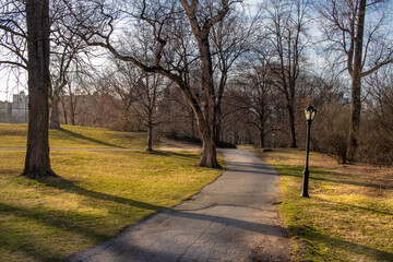 Empty footpath in central park. Early spring with side lighting