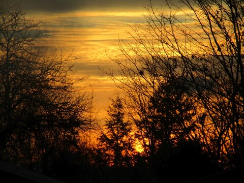 sunrise through the trees