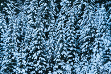 Lago Braies, Dolomites, Unesco World Heritage Site, Italy, Europe
