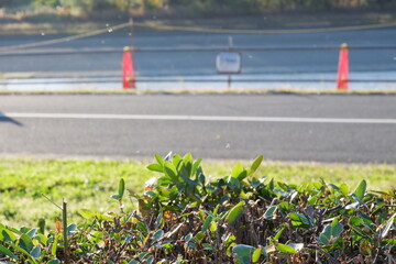 川のある公園の紅葉