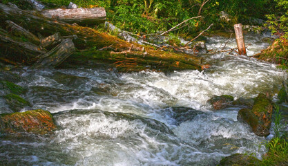 Teletskoye lake, Altai. Chedor waterfall in the wild