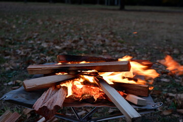 焚き火　薪と炎