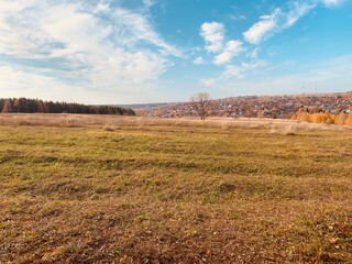 Obraz premium Rural landscape with a field
