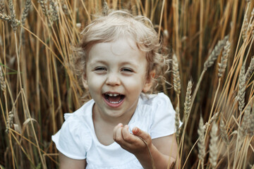 A little curly  fair haired  girl  in a white T-shirt is sitting on wheat field laughing and looking playfully  close up portrait