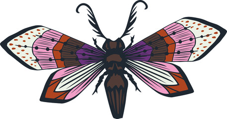 BUTTERFLY vector sketch. You can use it as an ornament in your tshirt designs.