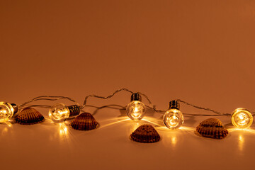 Illuminated shells with lights