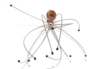 head massage isolated on white