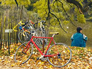 Fototapeta premium autumn day in the park, bicycles and a young man on the lake shore