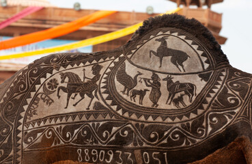 Beautiful decorated Dromedary Camel on Bikaner Camel Festival in Rajasthan, India