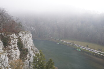 Herbst Nebel Wald Donau