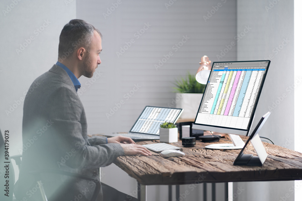 Poster analyst employee working with spreadsheet