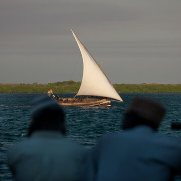 Dhow Race During The Maulid Festival, Lamu County, Lamu, Kenya