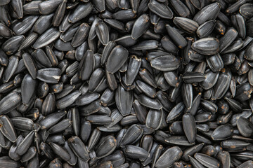 The texture of sunflower seeds