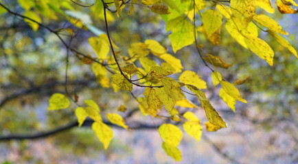 今城塚古墳　墳丘