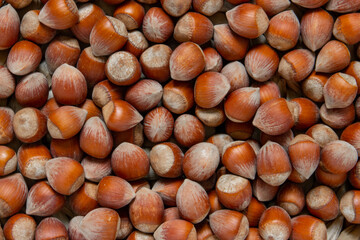 Stack of hazelnuts. Hazelnut background, selective focus