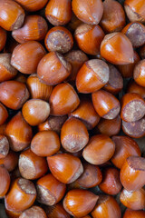 Stack of hazelnuts. Hazelnut background, selective focus