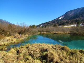 Fototapeta na wymiar green colored lake Zelenci
