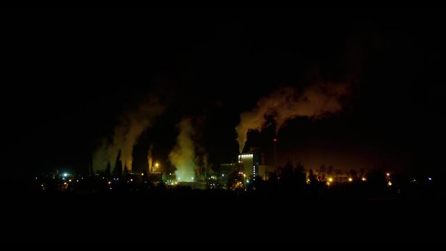 timelapse of paper plant at night with beautiful smoke