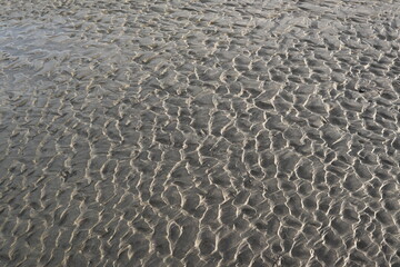 Fototapeta na wymiar Art of the Sand in the Beach