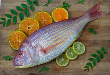 Close up view of fresh Pink Perch (thread finned Bream) Decorated with lemon slice,Orange slice and curry leaves on a wooden pad,White Background,Selective focus.