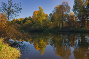 Obraz premium Autumn landscape, forest trees are reflected in calm river water against a background of blue sky and white clouds.